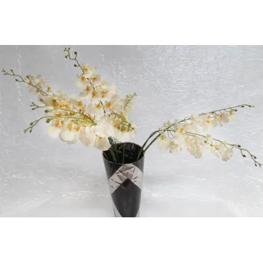 ONCIDIUM SPRAY 37'' CM ... MIN 12  